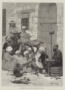Chèvre et singes performants au Caire